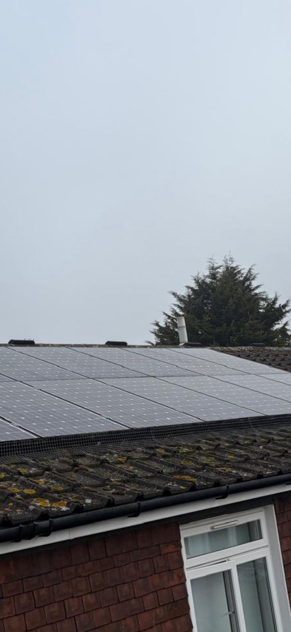 Solar Panel & Roof Clean
